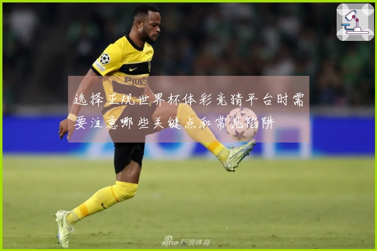 选择正规世界杯体彩竞猜平台时需要注意哪些关键点和常见陷阱