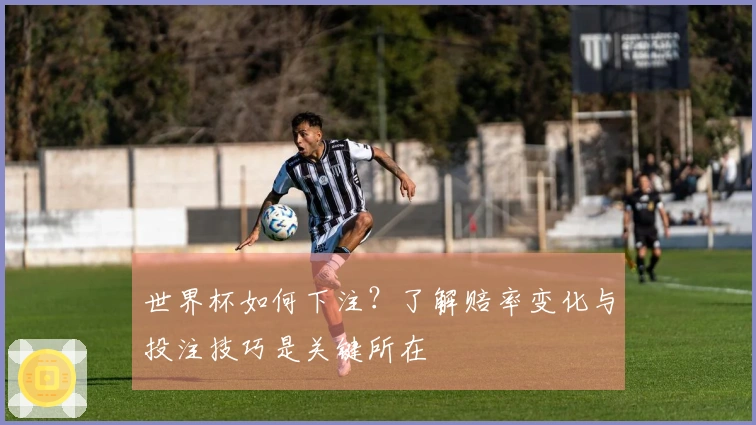 世界杯如何下注？了解赔率变化与投注技巧是关键所在
