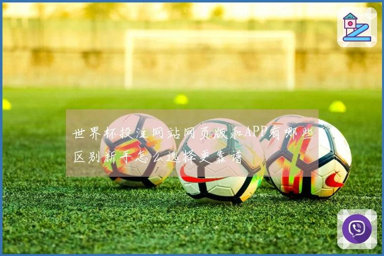 世界杯投注网站网页版和APP有哪些区别新手怎么选择更靠谱