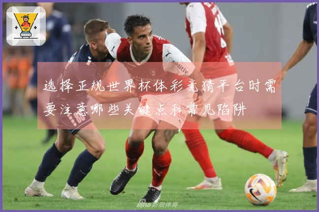 选择正规世界杯体彩竞猜平台时需要注意哪些关键点和常见陷阱