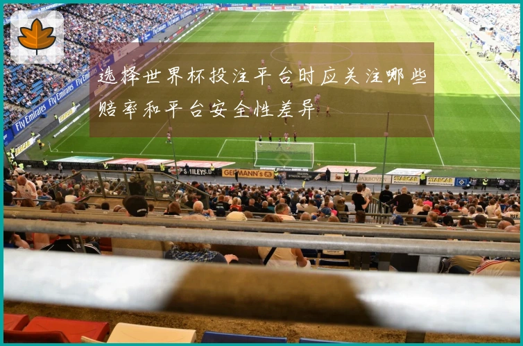 选择世界杯投注平台时应关注哪些赔率和平台安全性差异