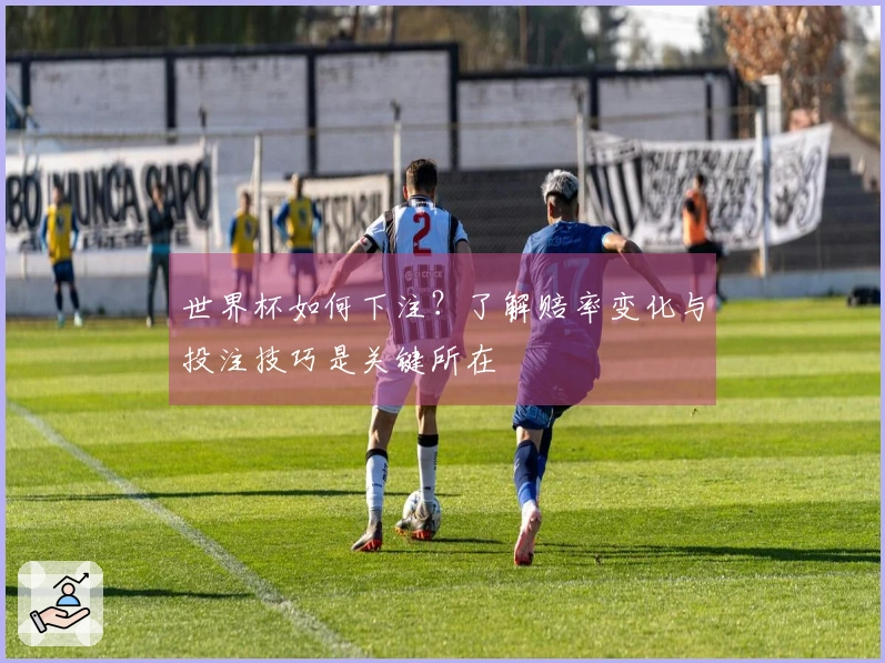 世界杯如何下注？了解赔率变化与投注技巧是关键所在